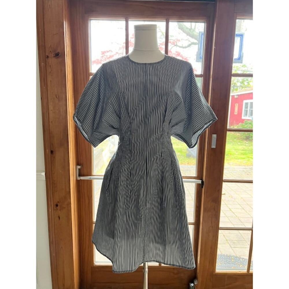 Rag & Bone Pinstripe Cotton Dress with Gathered Waistline Sz 8